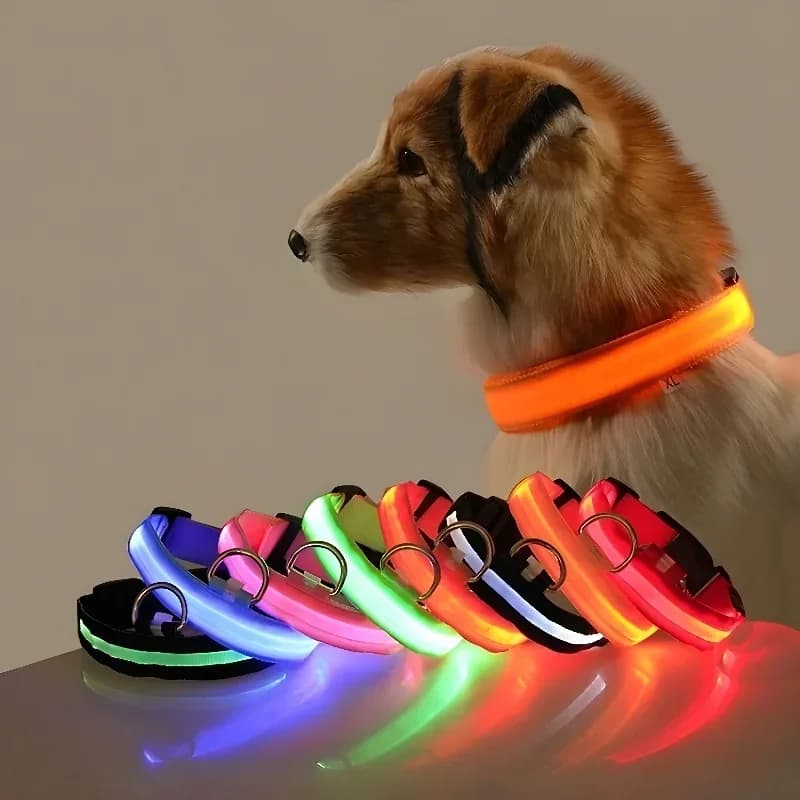 Nylonowa obroża LED 🐶